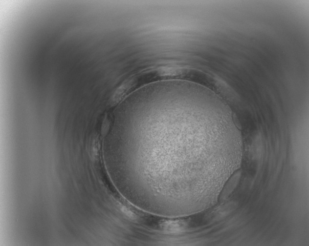 X0000067900277200604171411