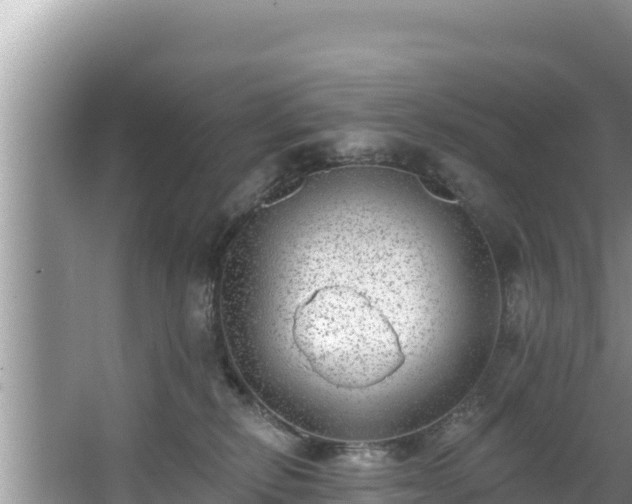 X0000067900278200604171411