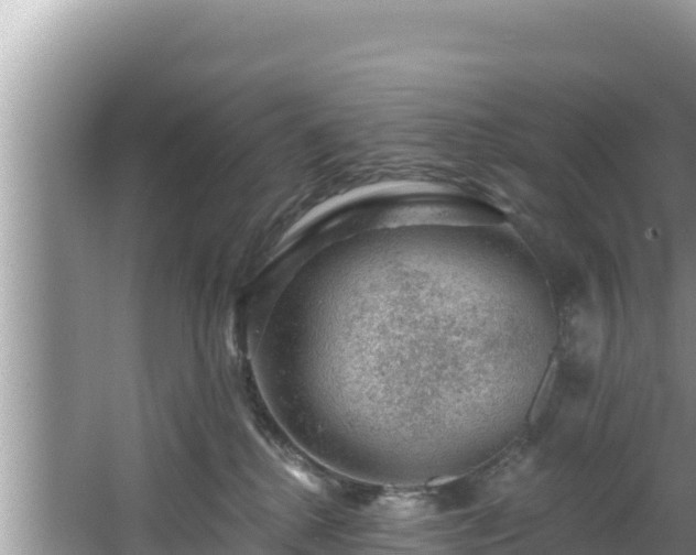 X0000067900280200604171411