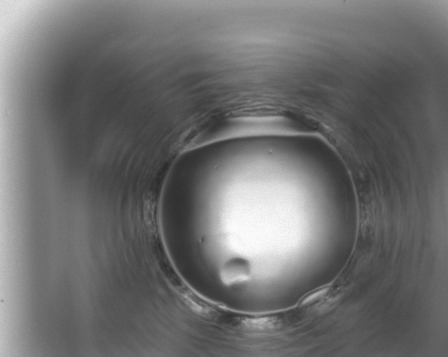 X0000067900281200604171411