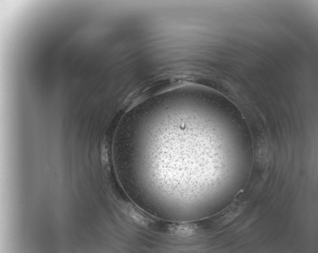 X0000067900282200604171411