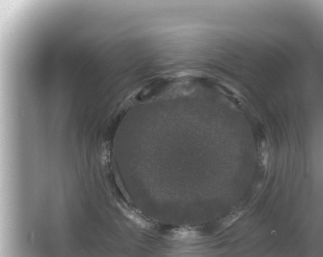 X0000067900284200604171411