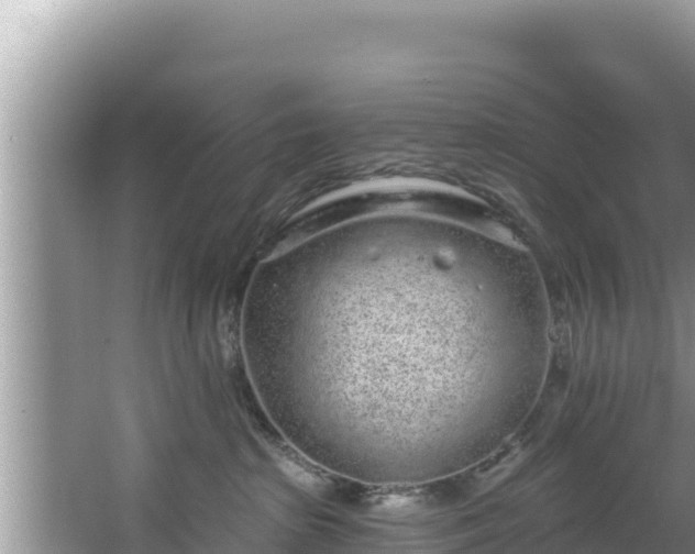 X0000067900285200604171411