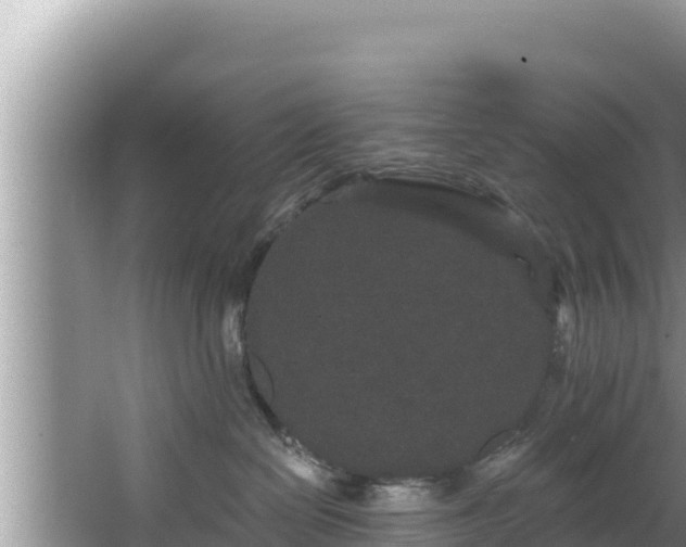 X0000067900286200604171411