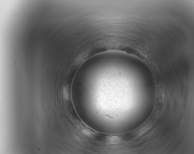 X0000067900287200604171411