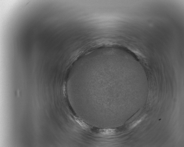 X0000067900288200604171411