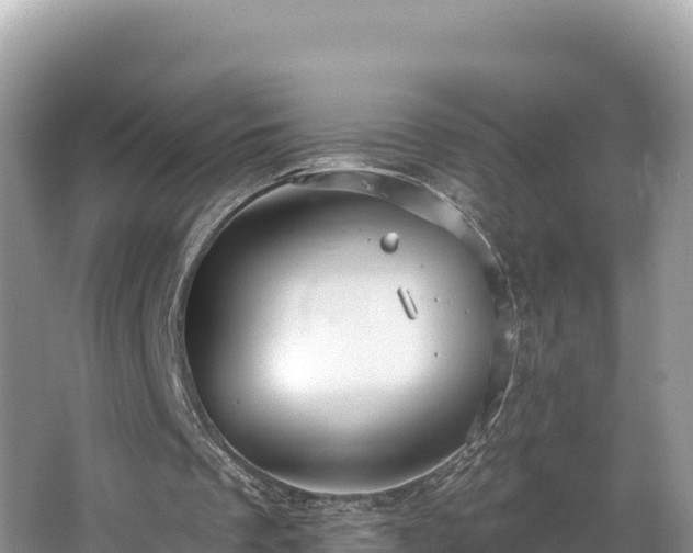 X0000067900289200604171410