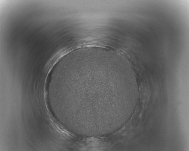 X0000067900290200604171410