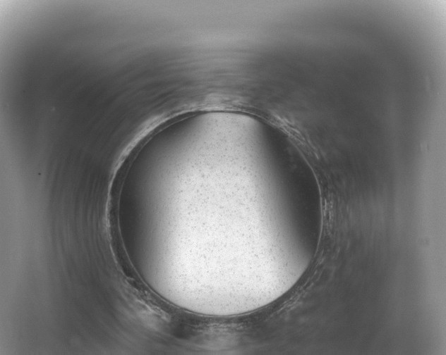 X0000067900292200604171410