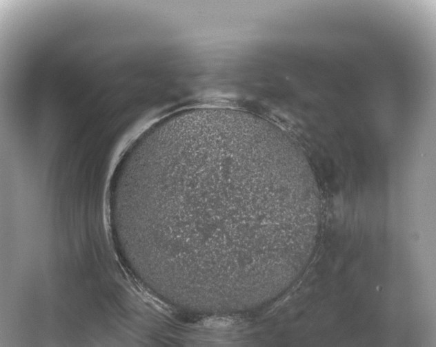 X0000067900294200604171410