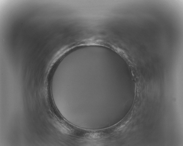 X0000067900295200604171410