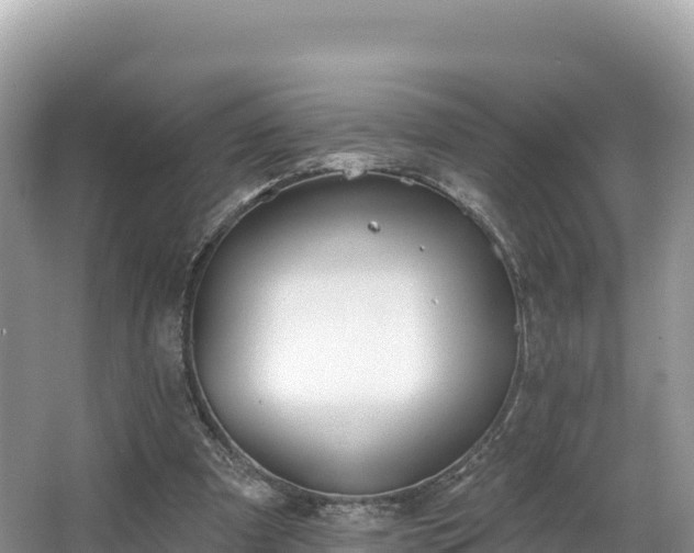 X0000067900297200604171410