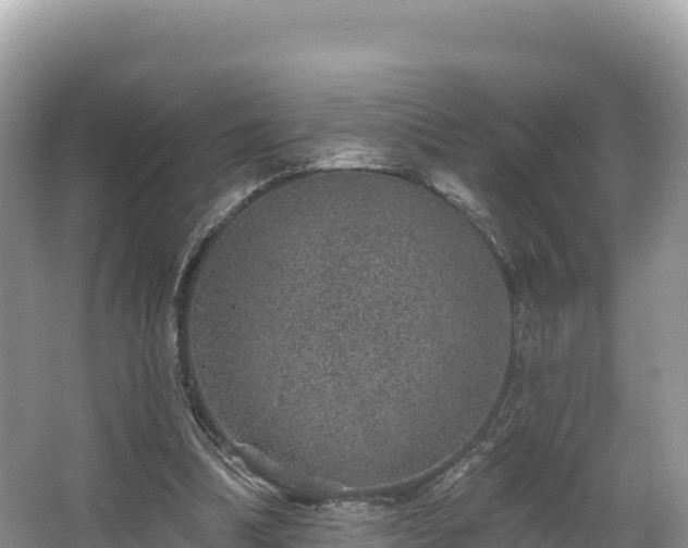 X0000067900298200604171410