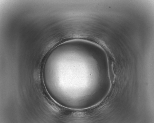 X0000067900299200604171410