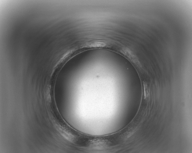 X0000067900300200604171410