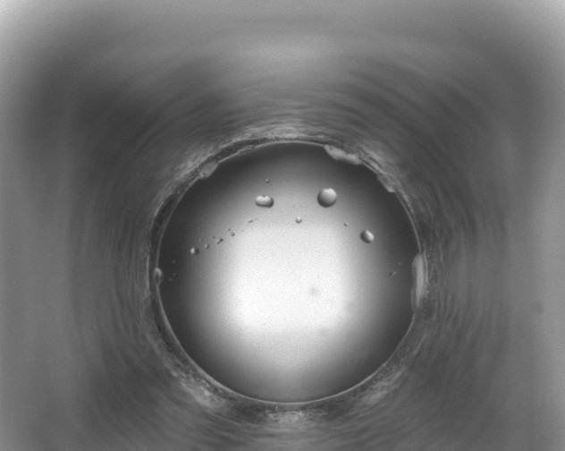 X0000067900301200604171410