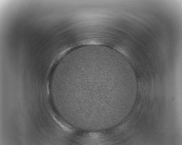 X0000067900302200604171410