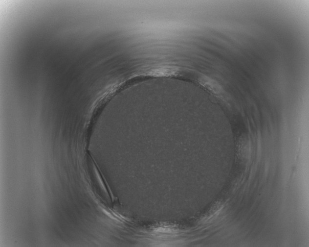 X0000067900303200604171410