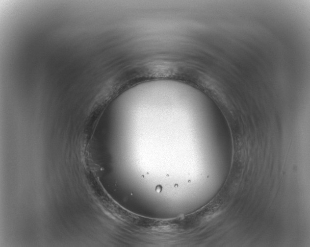 X0000067900307200604171410