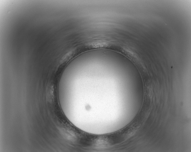 X0000067900308200604171410