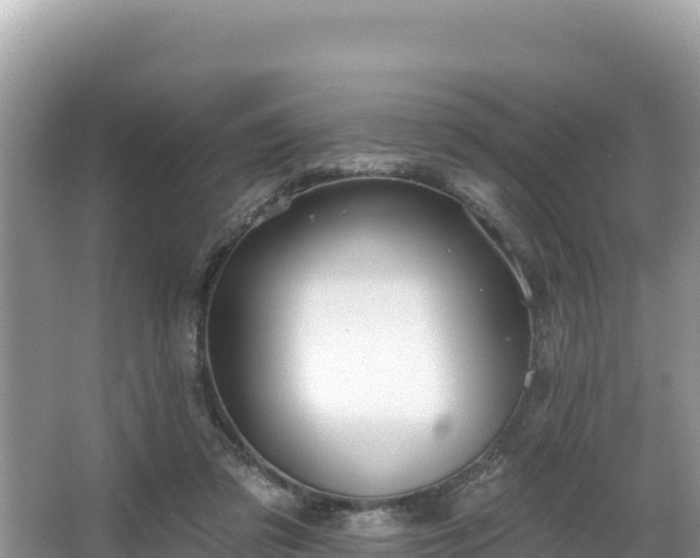 X0000067900309200604171410