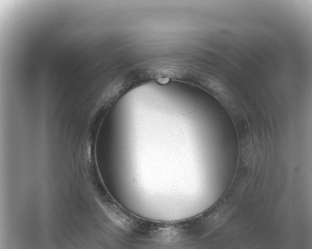 X0000067900310200604171410