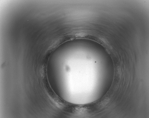 X0000067900311200604171410