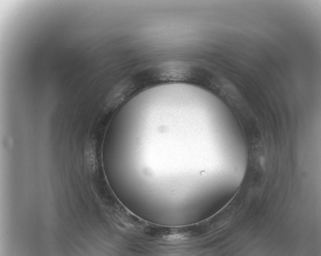 X0000067900312200604171410