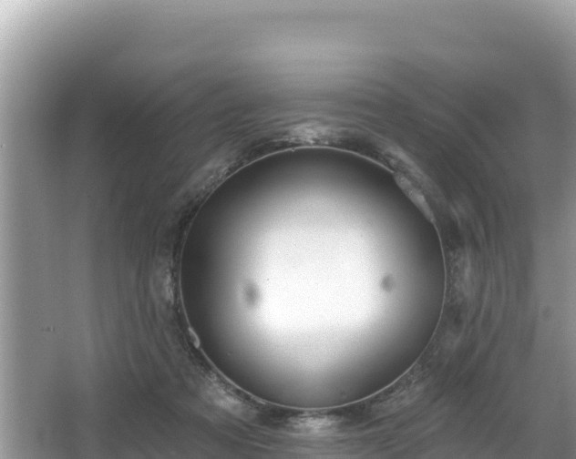 X0000067900313200604171410