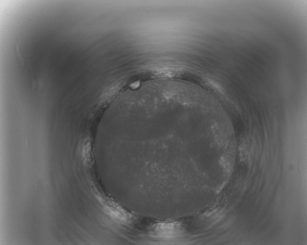 X0000067900314200604171410