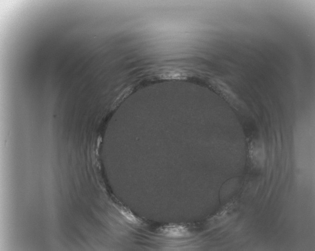 X0000067900322200604171409