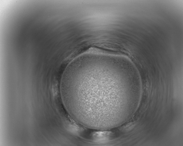 X0000067900323200604171409