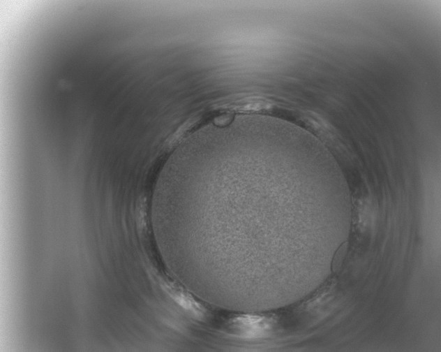 X0000067900326200604171409