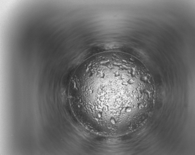 X0000067900327200604171409