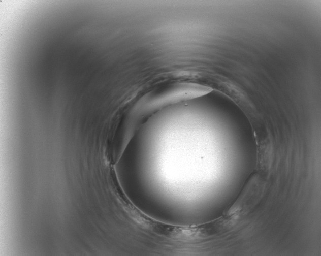 X0000067900329200604171409