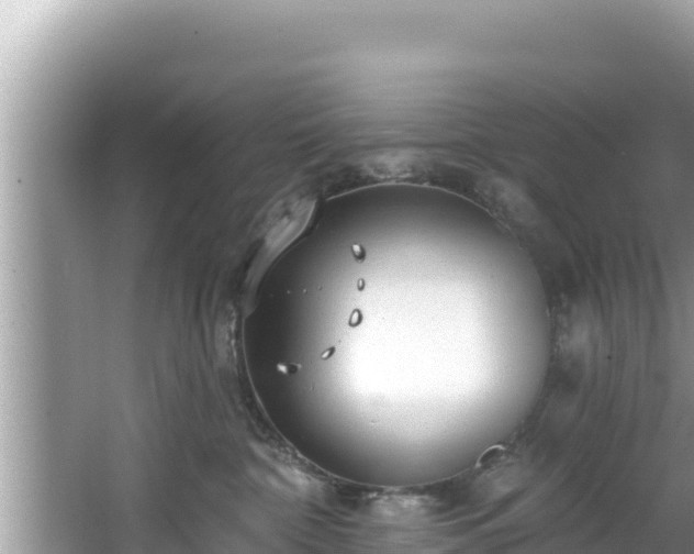 X0000067900332200604171409