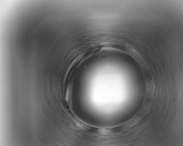 X0000067900333200604171409