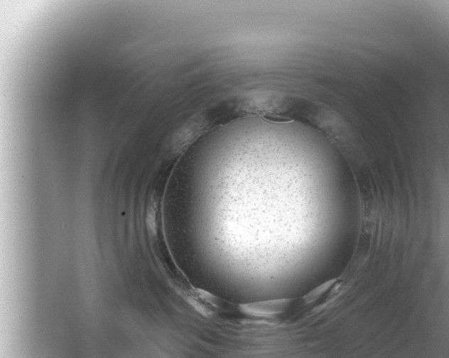 X0000067900334200604171409