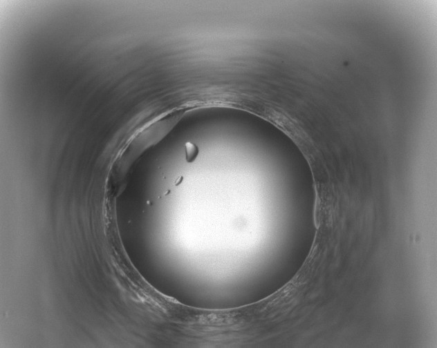 X0000067900338200604171408