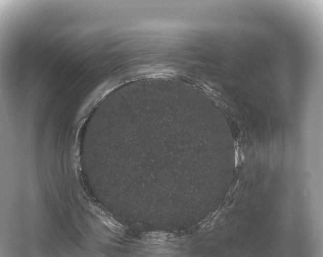 X0000067900339200604171408