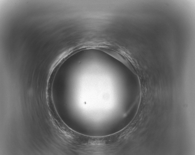 X0000067900340200604171408