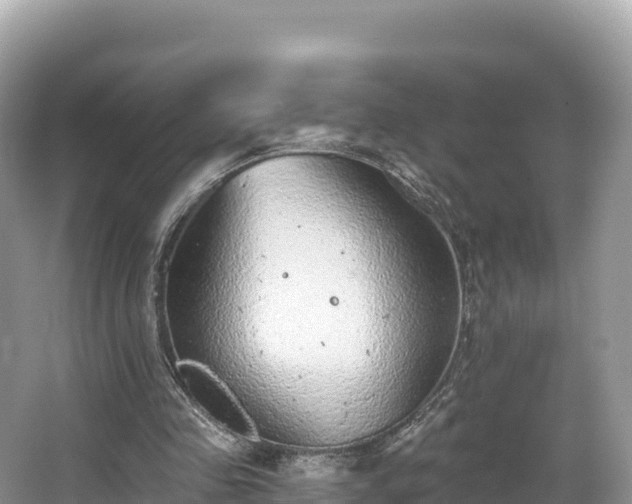 X0000067900341200604171408