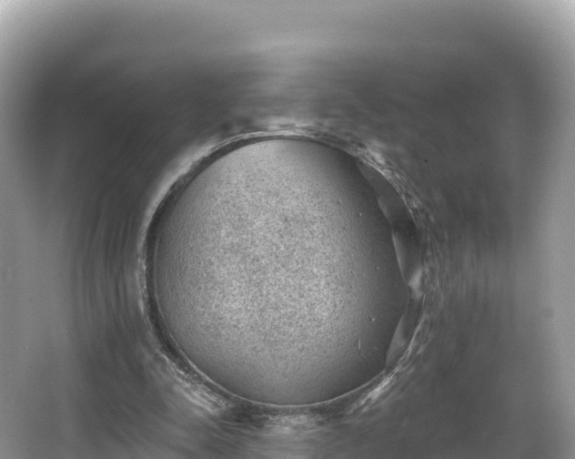 X0000067900342200604171409