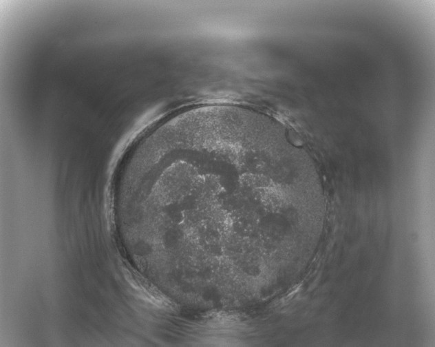 X0000067900343200604171409