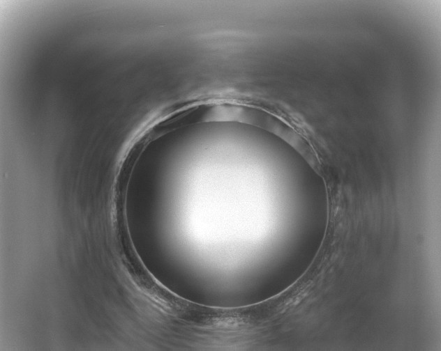 X0000067900344200604171409