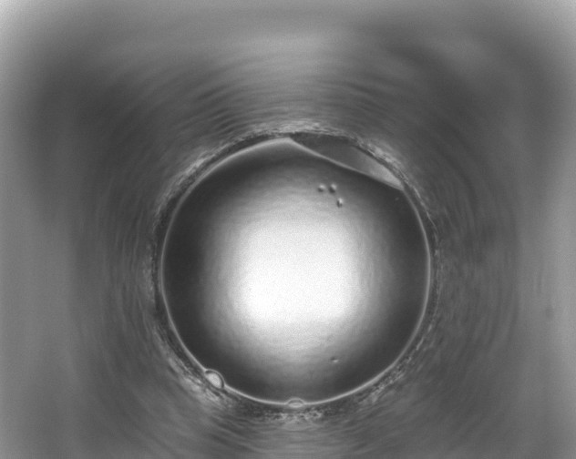 X0000067900345200604171409