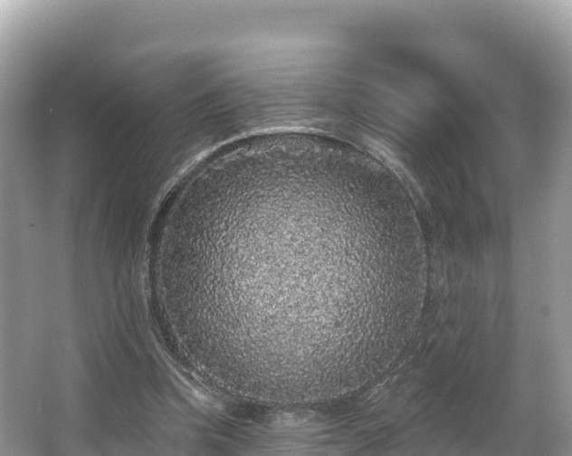 X0000067900346200604171409