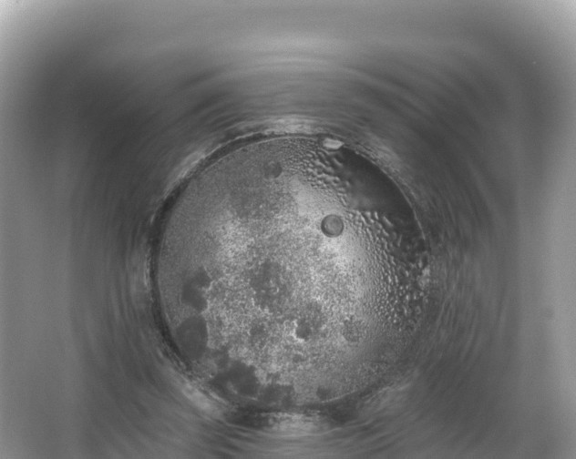 X0000067900347200604171409