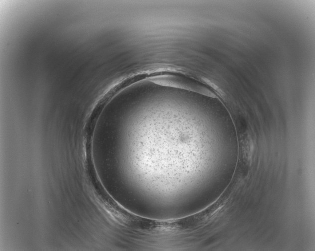 X0000067900350200604171409