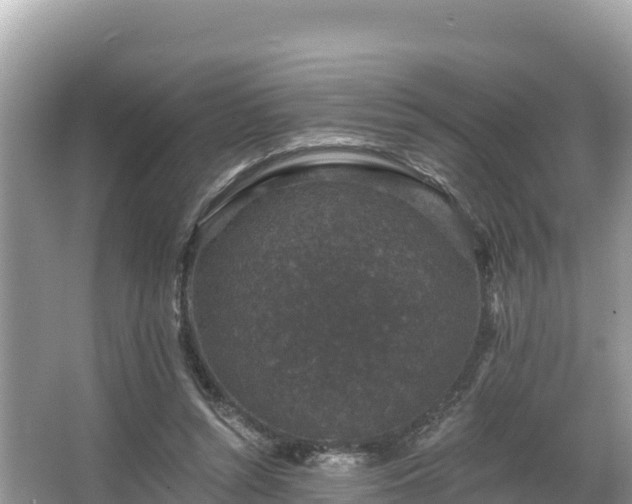 X0000067900352200604171409